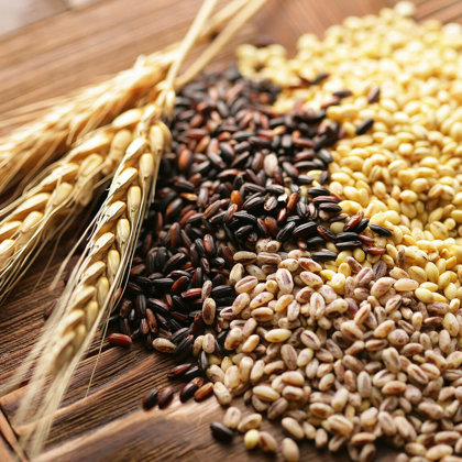 Grains